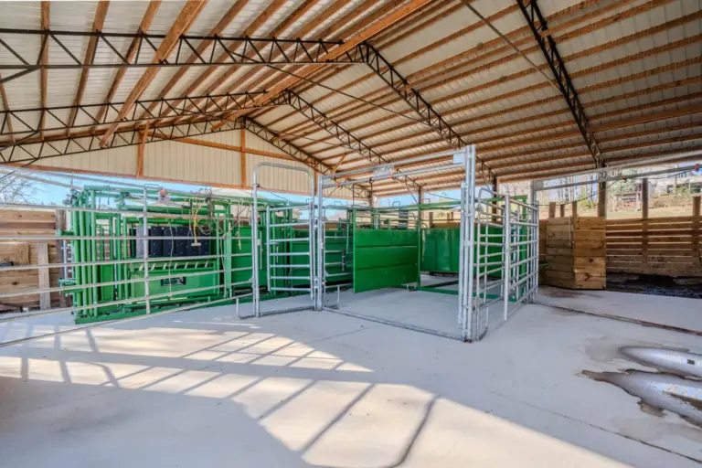 39_ec4530d3-280c-4145-9512-5f775414ddd7