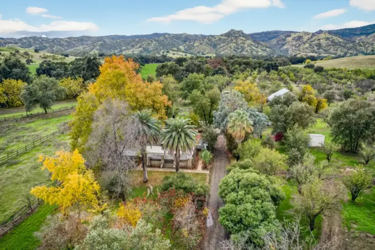 40_4967f0b2-8913-44e4-a3aa-e790c4e53c13