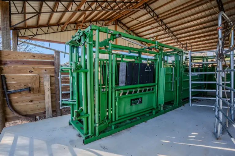 40_b483af7b-7701-4f73-b761-fdbf53d39347