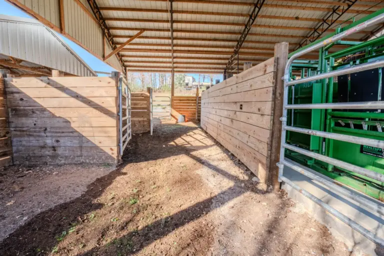 41_27ba908a-d6fa-49bf-b95c-d91cdf9ac1e3