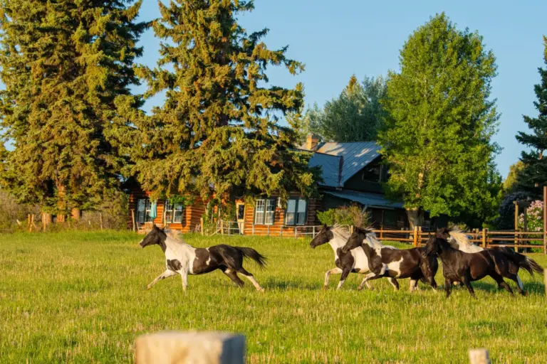 43_529fc0e5-b08a-4a31-a319-7dea95fc6e24