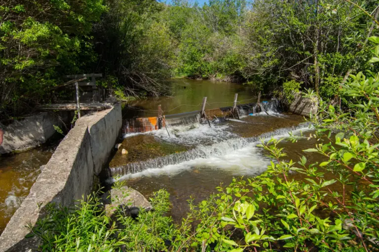 44_37b33ceb-a615-491a-823d-0829b385011e