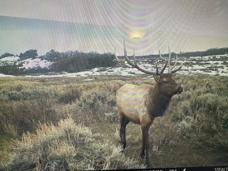 44_abf575a4-7852-4a39-9945-3fcca58c4136