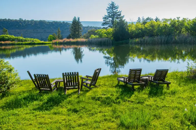 45_35ce8978-7f37-4894-bf3a-3f9afe4f5f2a