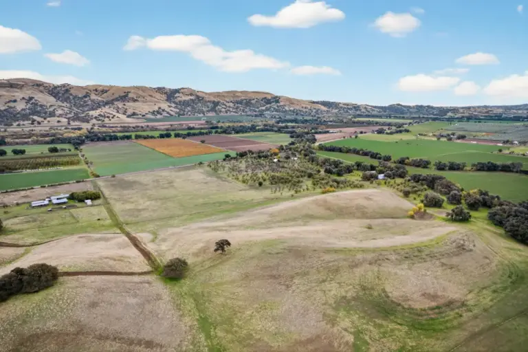 47_96934a3a-d15f-44d0-bd46-486f993c4f3c