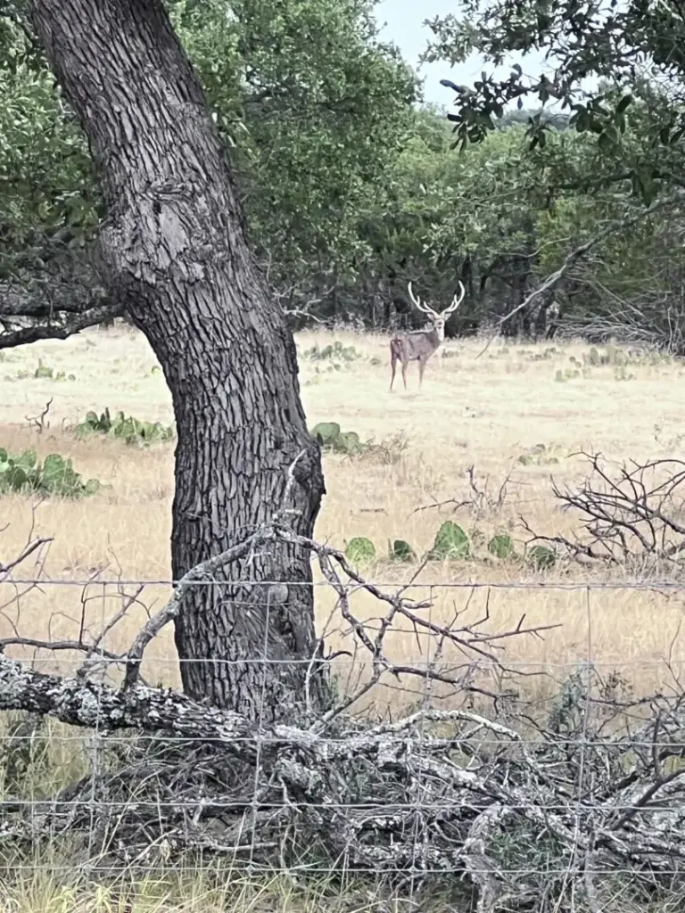 02_e8901805-05f6-4b6d-8ccd-fb628ed72402