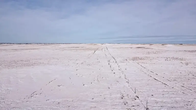 03_176e7bab-3c3e-44d0-b39f-ab4dd27ce994