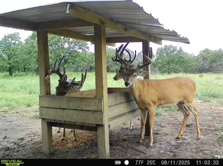 03_7d3adff1-77e6-4489-8db2-6fe27e6b0ea4