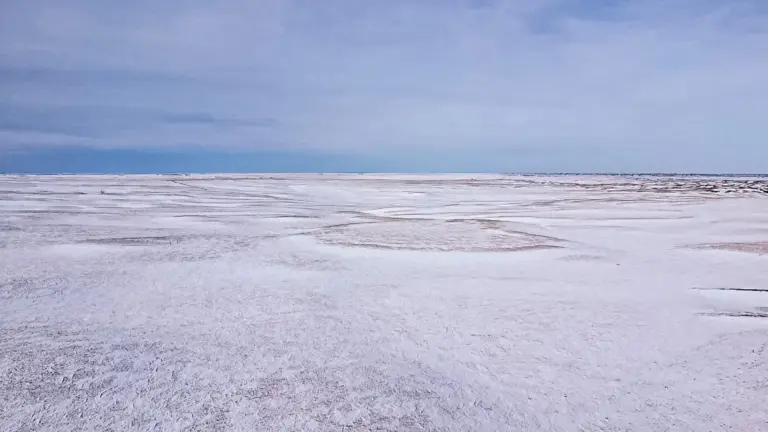 04_d62edc3e-fde8-43ab-8b4c-fc93f16cdb80