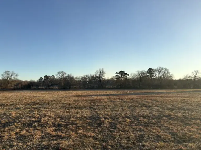 06_0409ac49-6b47-4844-ade0-90d2e3431fb3