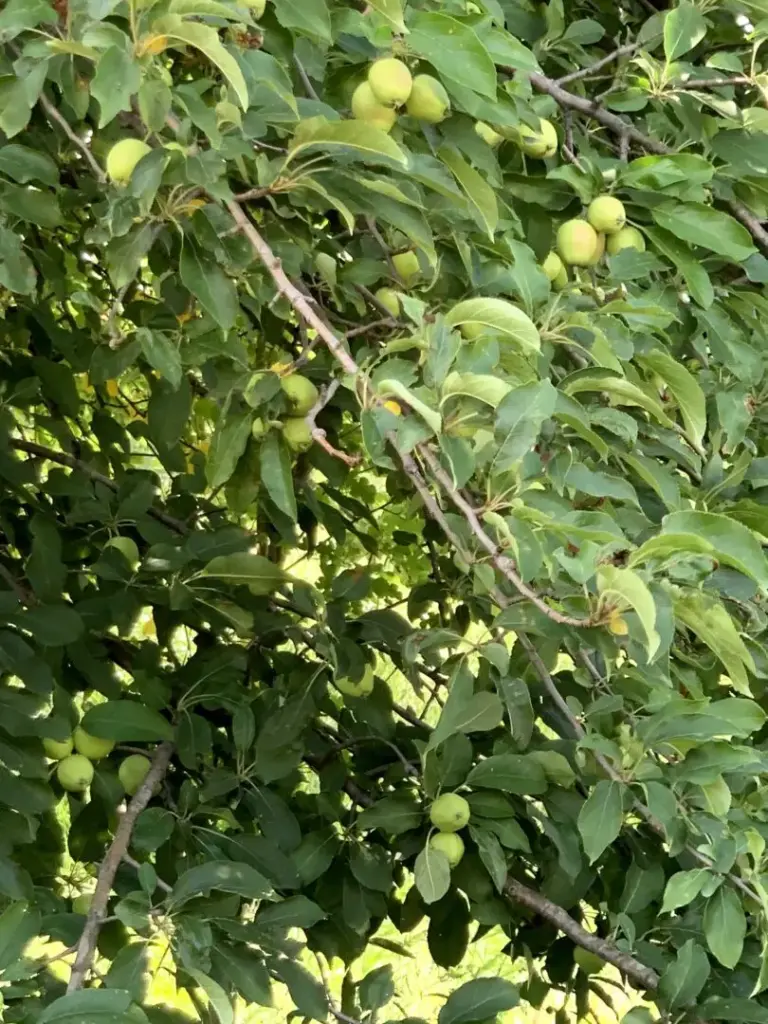 06_a2cfcf99-6a98-423e-860f-13ffacc898fa