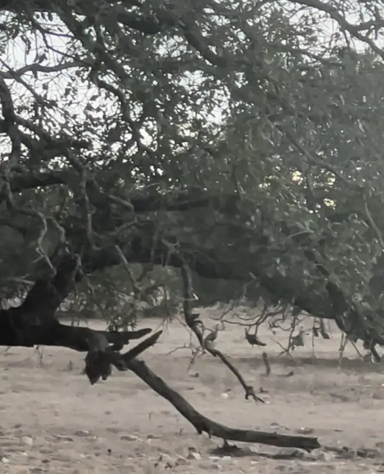 06_c63b7d86-09e8-415a-91df-8ce1c8a23bf1