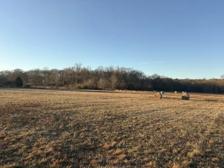 07_0ffc83b9-5406-483e-b9d3-27767f194c73