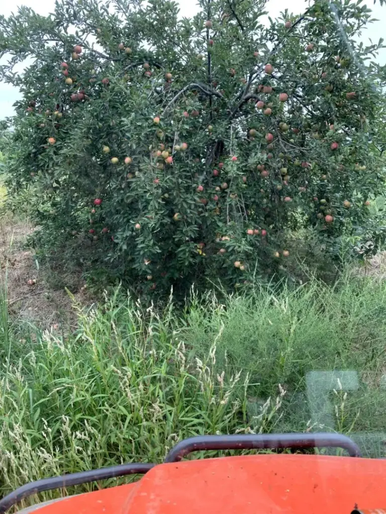 07_9b0088bd-f182-4b1c-bb5b-20cb1115bf5b