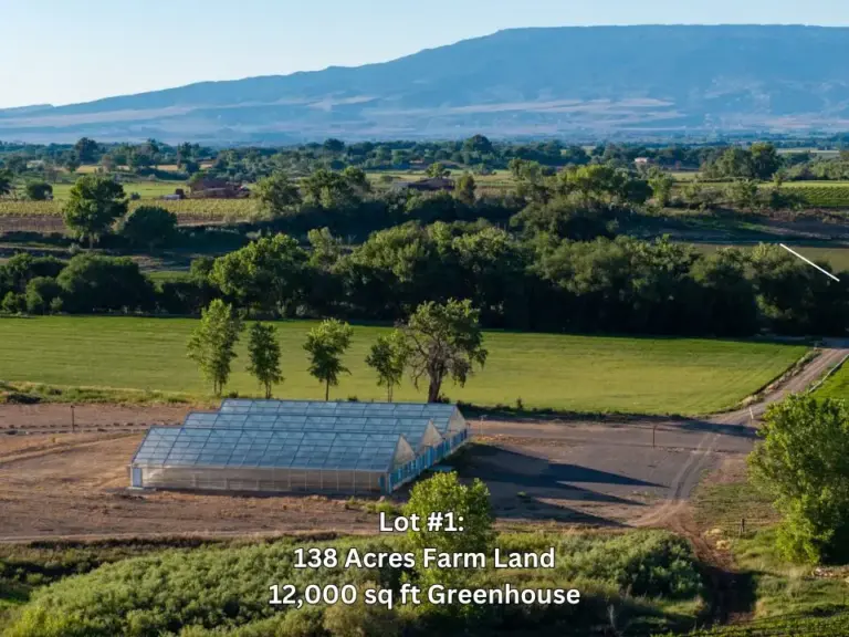 07_b3cd9728-15de-4a3d-9fcc-f0849ac154b9