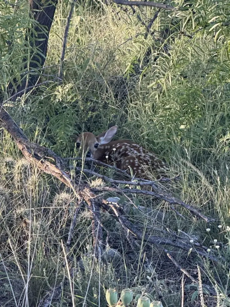 08_2e78fa26-1641-4f31-bdb7-0cd506ff87e6