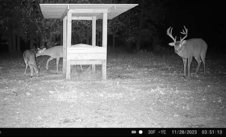 08_835a0e2c-aec4-4e4c-b52f-eeffc410f081