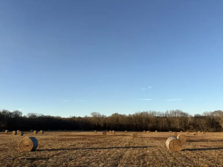 08_c91fa420-d389-4059-8e02-b1fb7e13f09c