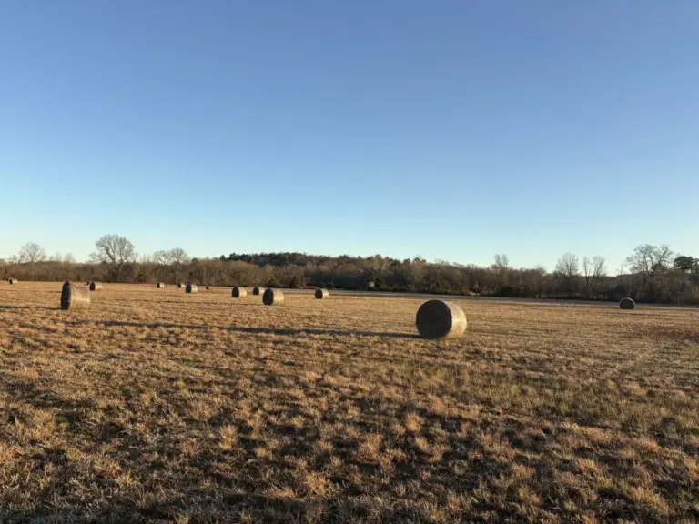 09_8e640d4f-dbe5-4f86-b279-25ac9e33be69