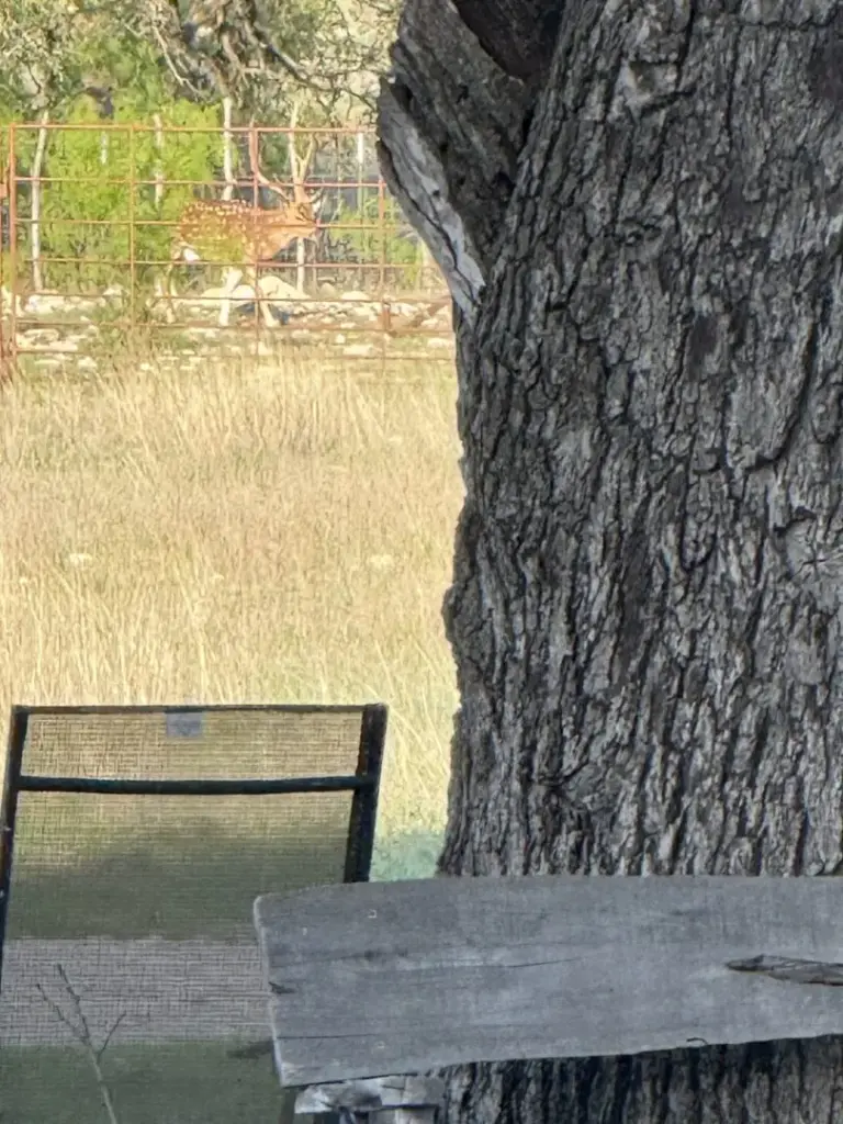 09_cf076876-79a1-45d8-b99a-bd987d486d4a