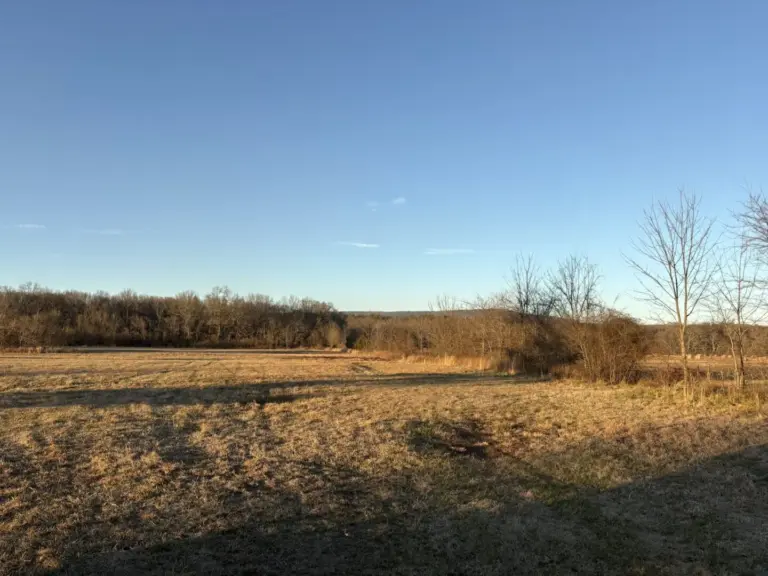 11_01ce5664-dc96-442b-bf6e-96f0f8eadd6b