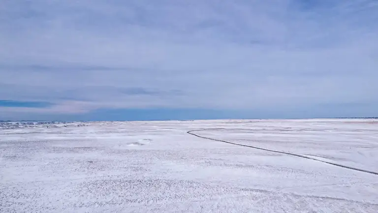 11_50020398-5e77-46f2-a619-3db7de1f523f