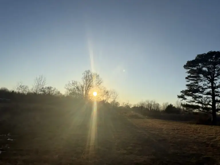 12_049c8c82-2b07-4b5f-a40d-bcbe1737a456