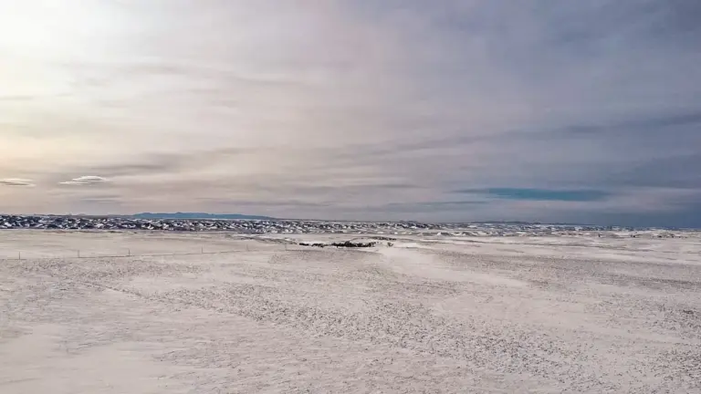 12_4a952f48-a2a6-479a-97e3-5133148004bf