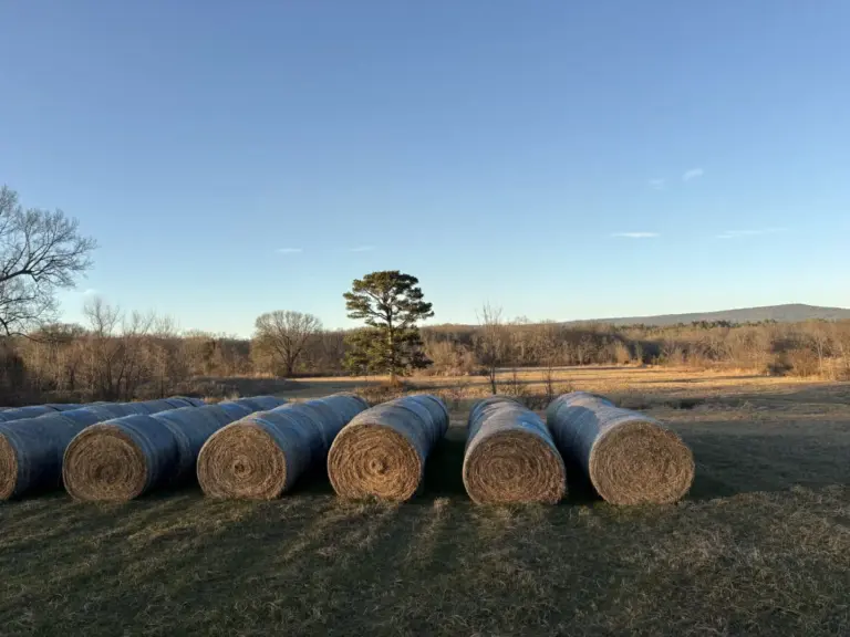 13_a7805753-9d3a-433d-b885-20d6c567d5c1