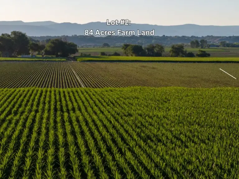 14_c8ab3179-b9ef-48d7-9bc2-0dab297a5417