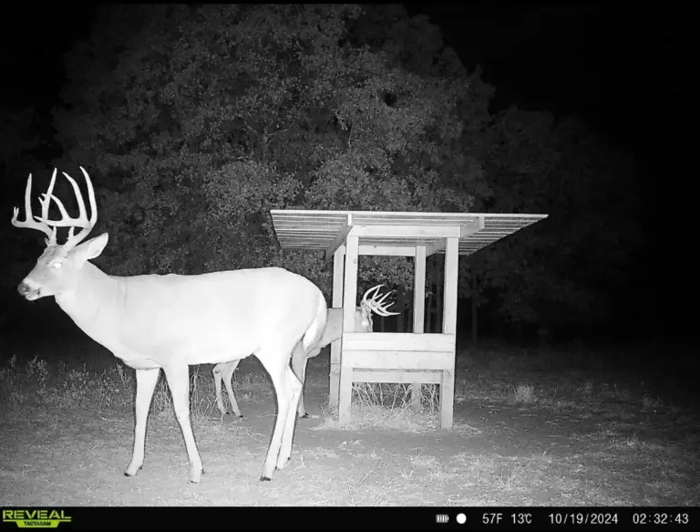 14_c8ce3b93-256a-498b-a5dd-bd6c398f1fb9