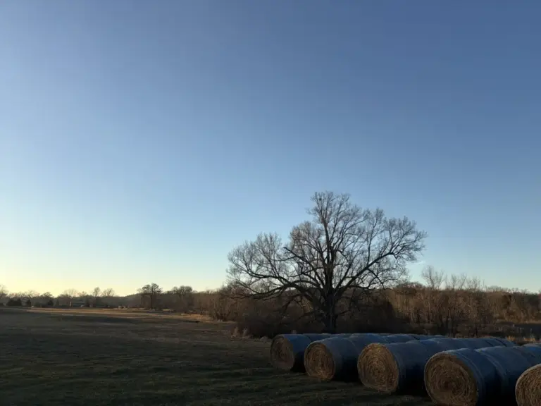 14_de6cae6b-8f02-48fa-8093-1e97111d3808