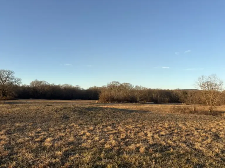 15_c4cd7fd2-dc51-4a09-8489-f001d11c8a86