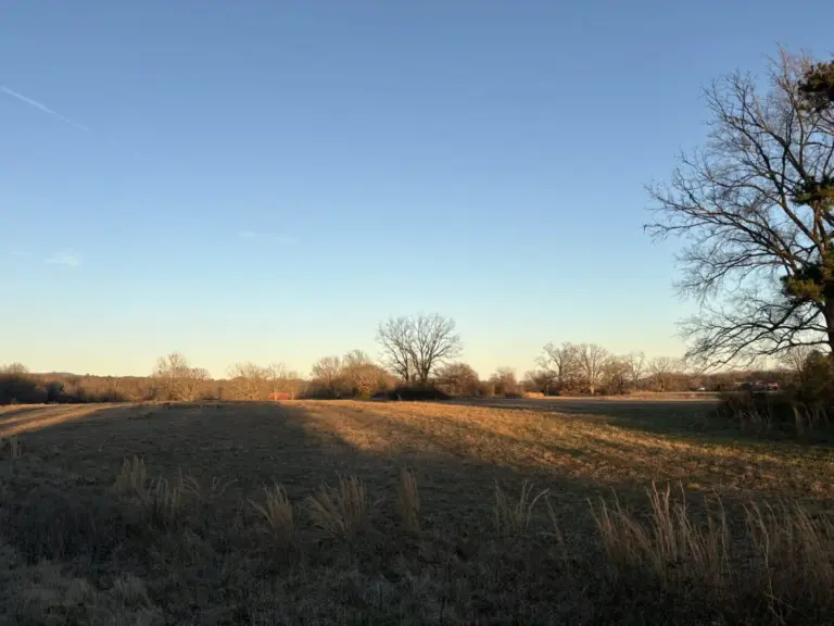 18_cf3bb263-fe8d-4c26-a51b-a225840b7414