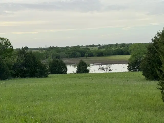 19_08680835-cd88-40cf-a6ea-d9717bef2555