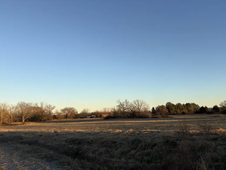 19_53109ab2-9c96-4faf-802f-e9b432c21c7a