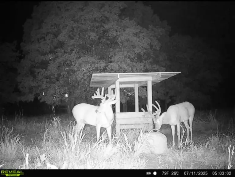 20_29473ef1-0645-4998-ac73-e203d42a0ba7