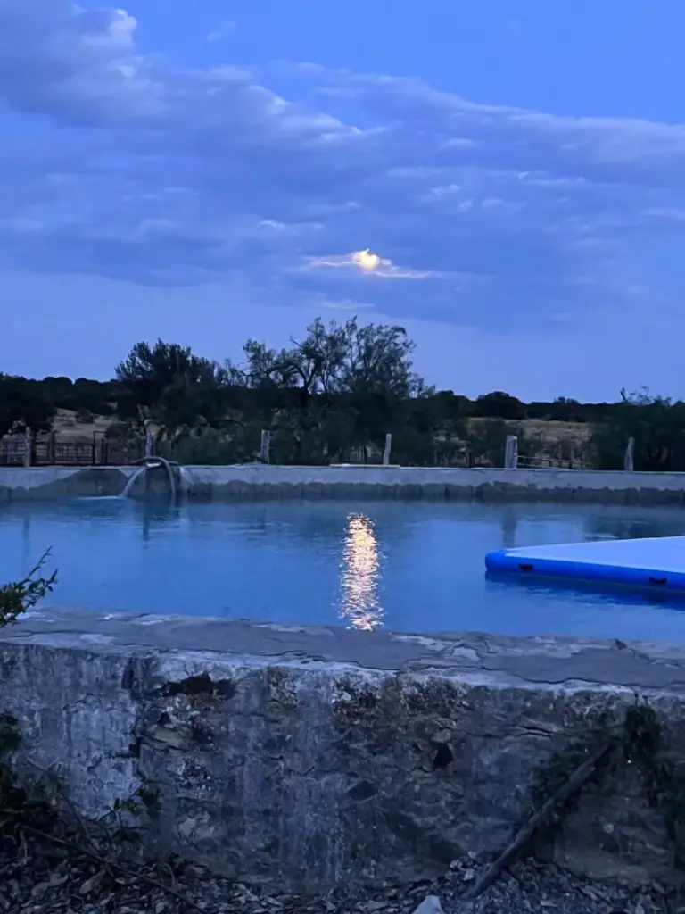 21_4c65000d-6fd5-4489-82c5-56adb14c482d