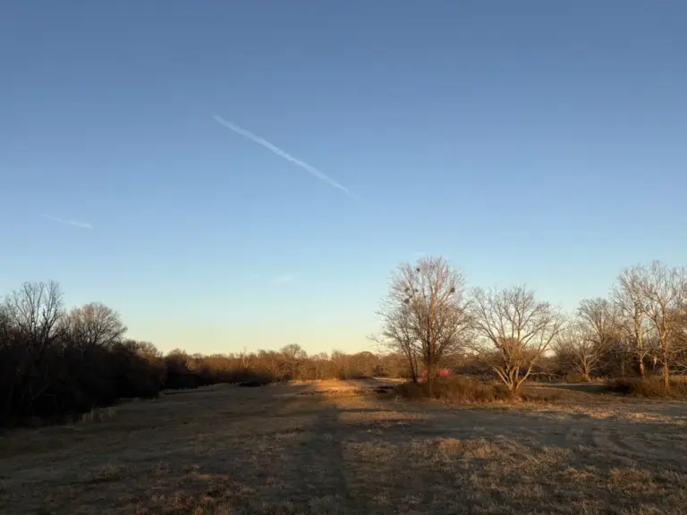 21_61d44721-1912-472e-9ecf-863073a82c01