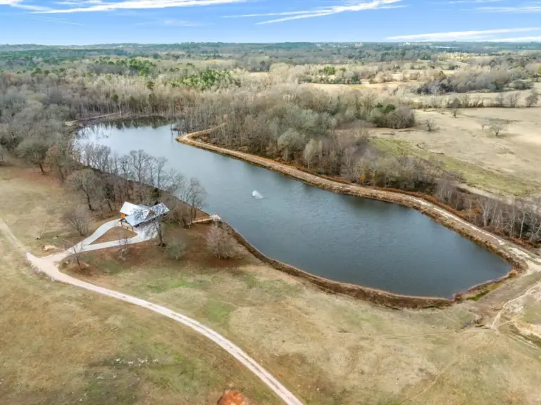 21_a3d7a3fe-99d0-4f20-95fb-81669bbc3365