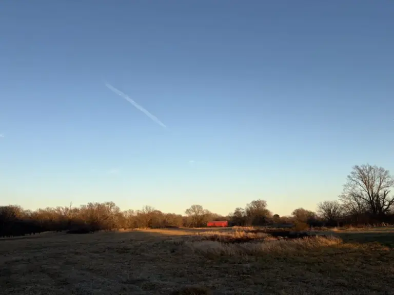 22_39f81bc1-7706-4b65-a9df-76cb550d1412