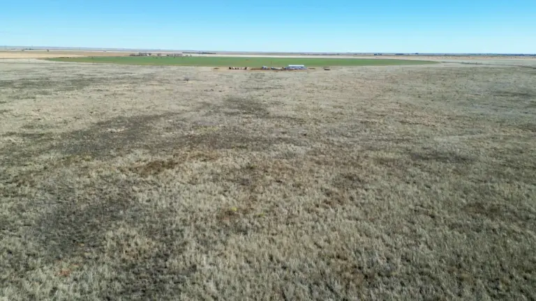 23_61ff940e-3f7e-48de-acdf-4212a5cd7ae1