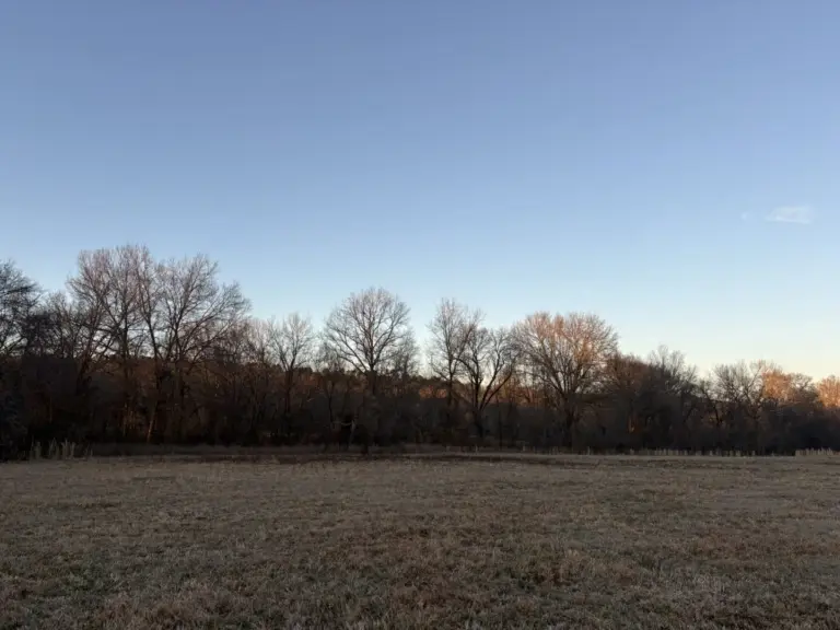 23_a7133a82-aaa4-4f0c-9835-1f0ac7a0e3fa