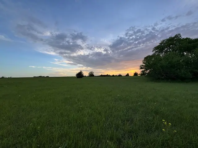 24_57a66a69-1d6c-4430-8865-b5161bdf5c9a