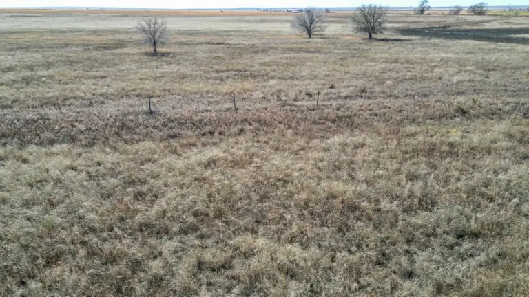 24_92a94e15-9565-4636-aa51-b8560377dac5