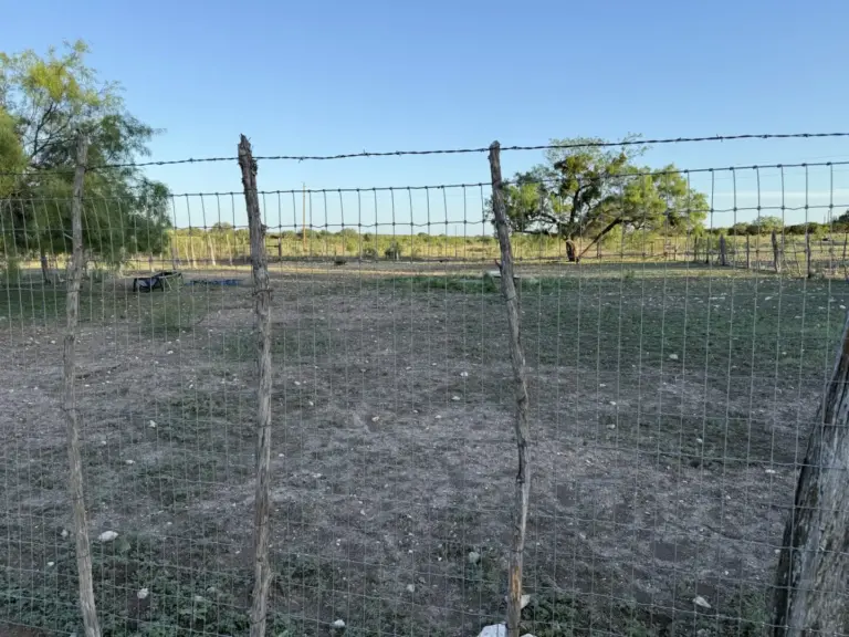 24_ea2c46b0-f3c0-425e-a6b5-8ba3c3b280ff