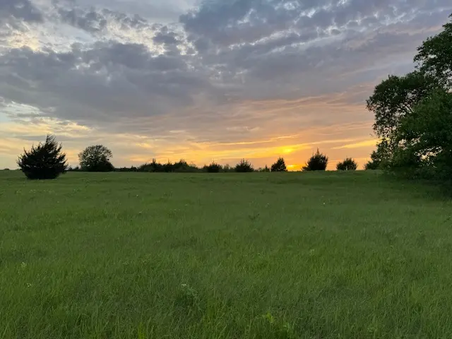 25_1e4fa2bc-6cf7-4986-a72c-ac9d2d9e5f1e