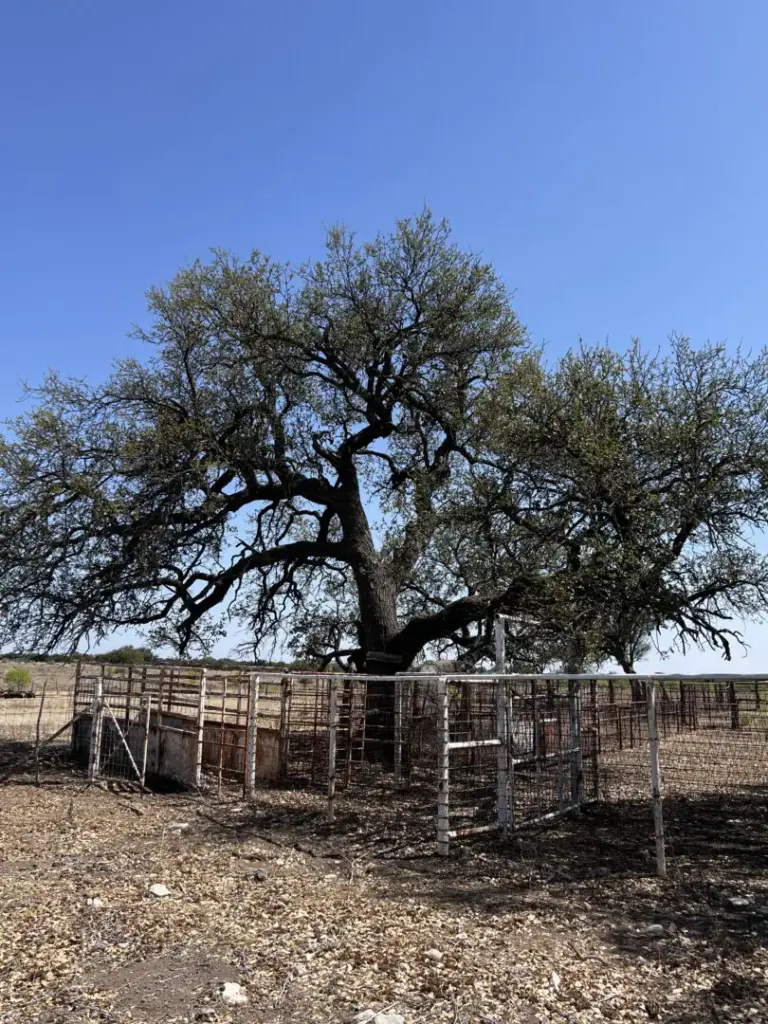 26_4bbfbdbe-74e5-4eb0-8fdc-f0b268988b5b