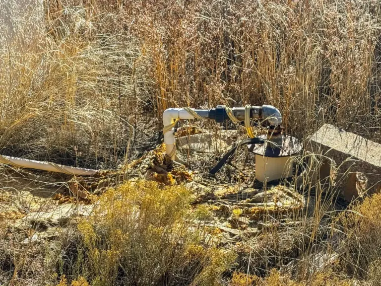 26_7b4ed5c3-3b34-487c-afa2-737ceebcc101