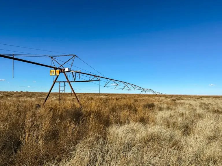 28_3c17f097-6a50-4483-9dc9-5170d55f22f0